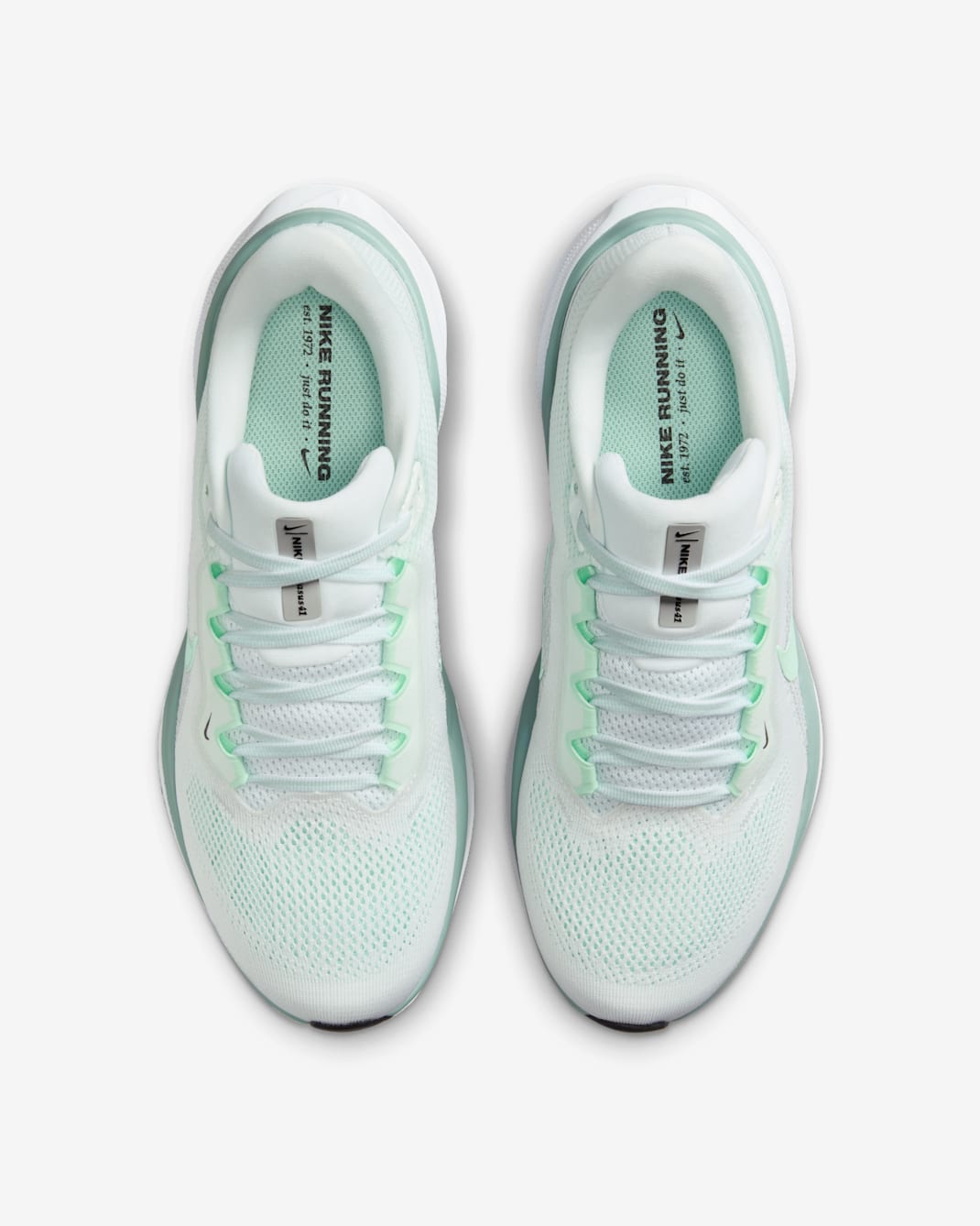 Women Nike Air Zoom Pegasus 41